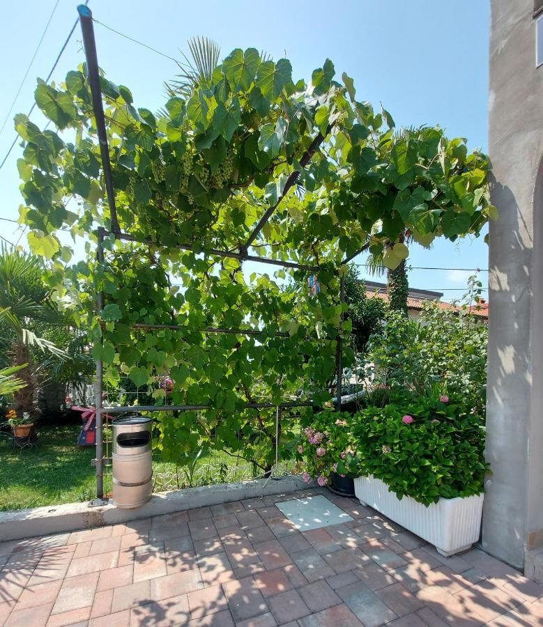 Apartman Palma Marinici  Exterior photo
