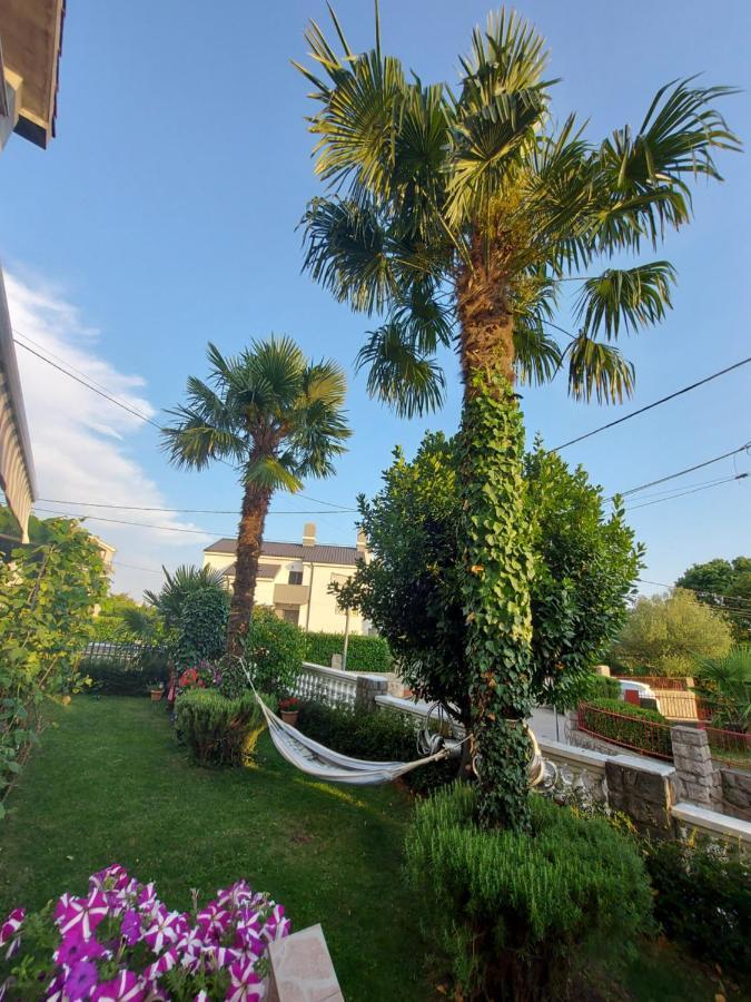 Apartman Palma Marinici  Exterior photo